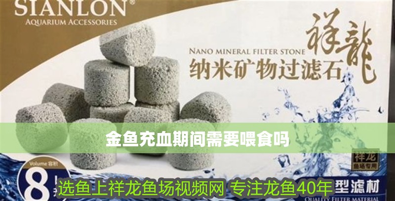 金魚充血期間需要喂食嗎 金魚充血期間需要喂食嗎 龍魚百科