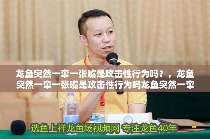 龍魚突然一竄一張嘴是攻擊性行為嗎？，龍魚突然一竄一張嘴是攻擊性行為嗎龍魚突然一竄一張嘴是生病了嗎 龍魚突然一竄一張嘴是攻擊性行為嗎？，龍魚突然一竄一張嘴是攻擊性行為嗎龍魚突然一竄一張嘴是生病了嗎 龍魚百科