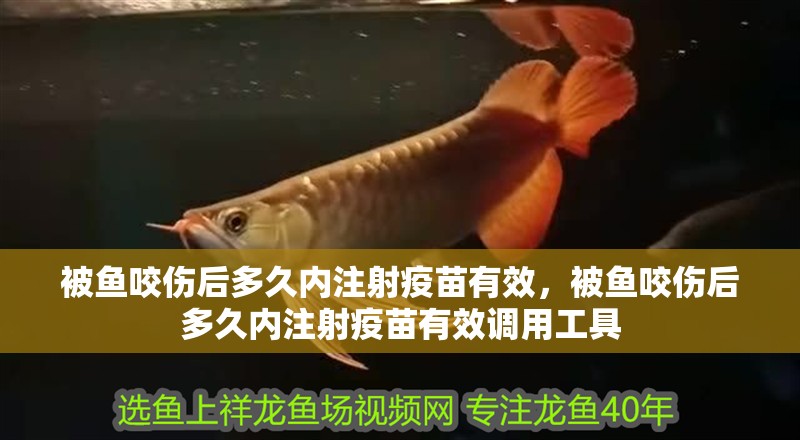 被魚咬傷后多久內注射疫苗有效，被魚咬傷后多久內注射疫苗有效調用工具