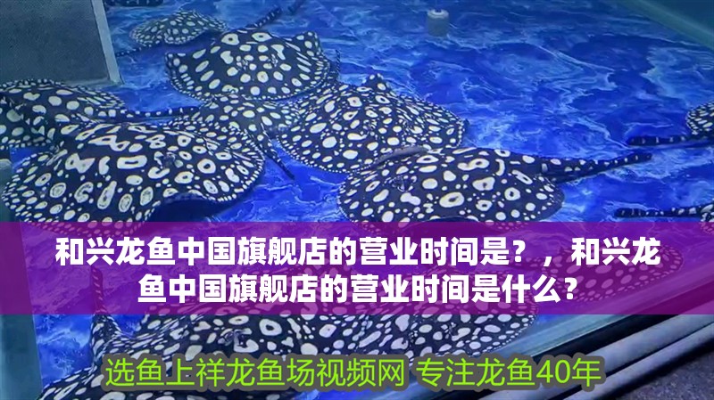 和興龍魚中國旗艦店的營業(yè)時間是？，和興龍魚中國旗艦店的營業(yè)時間是什么？ 和興龍魚中國旗艦店的營業(yè)時間是？，和興龍魚中國旗艦店的營業(yè)時間是什么？ 龍魚百科