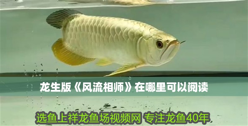 魚缸用增氧泵價格是多少:魚缸增氧機-xtrac增氧機-xtrac增氧機 龍生版《風流相師》在哪里可以閱讀 龍魚百科 龍生版《風流相師》在哪里可以閱讀 龍生版《風流相師》在哪里可以閱讀 龍魚百科