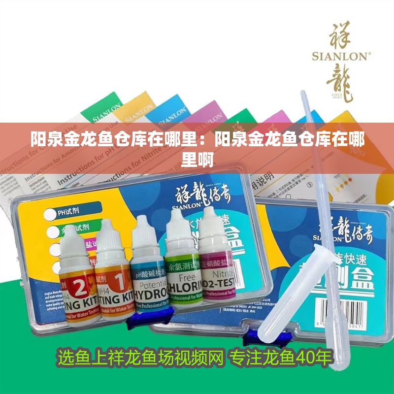 陽泉金龍魚倉庫在哪里：陽泉金龍魚倉庫在哪里啊 陽泉金龍魚倉庫在哪里：陽泉金龍魚倉庫在哪里啊 水族問答