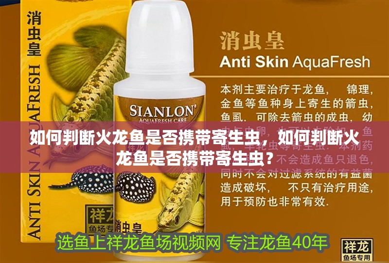 如何判斷火龍魚是否攜帶寄生蟲，如何判斷火龍魚是否攜帶寄生蟲？