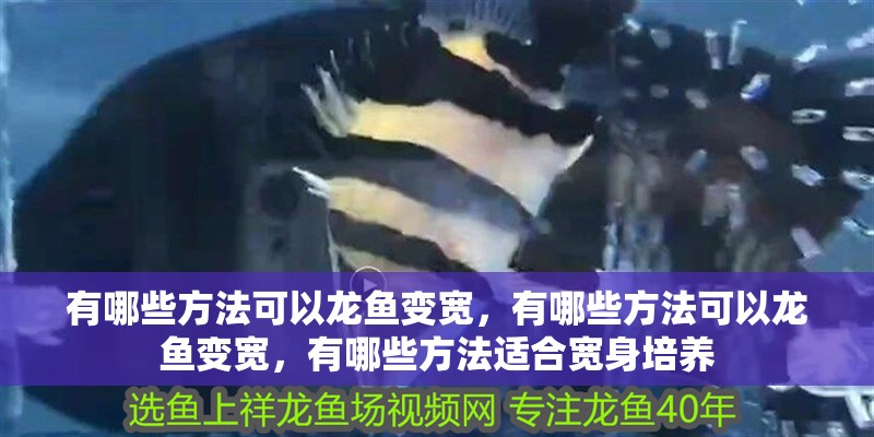 有哪些方法可以龍魚變寬，有哪些方法可以龍魚變寬，有哪些方法適合寬身培養