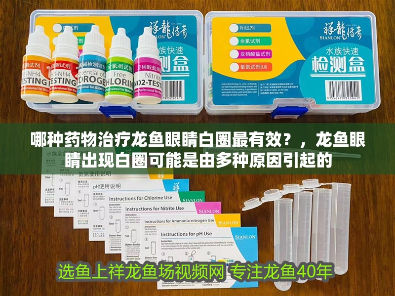 哪種藥物治療龍魚眼睛白圈最有效？，龍魚眼睛出現白圈可能是由多種原因引起的 哪種藥物治療龍魚眼睛白圈最有效？，龍魚眼睛出現白圈可能是由多種原因引起的 龍魚百科