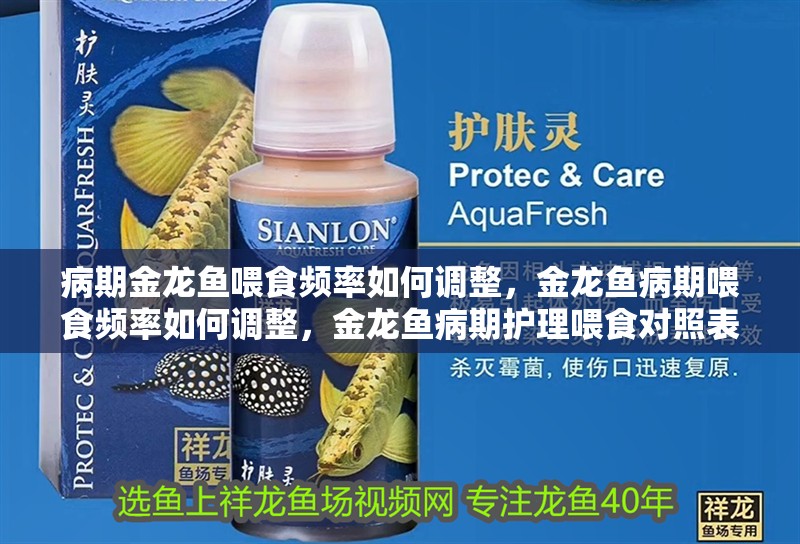 病期金龍魚喂食頻率如何調整，金龍魚病期喂食頻率如何調整，金龍魚病期護理喂食對照表 病期金龍魚喂食頻率如何調整，金龍魚病期喂食頻率如何調整，金龍魚病期護理喂食對照表 龍魚百科