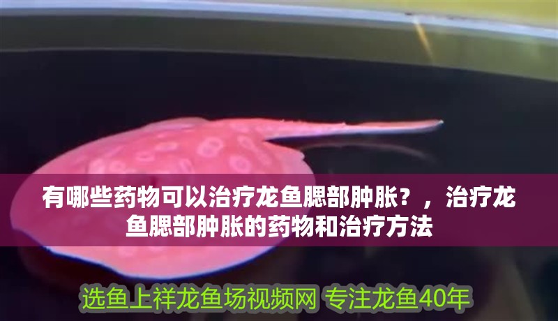 有哪些藥物可以治療龍魚腮部腫脹？，治療龍魚腮部腫脹的藥物和治療方法