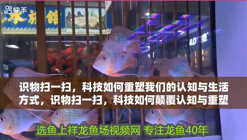 識物掃一掃，科技如何重塑我們的認知與生活方式，識物掃一掃，科技如何顛覆認知與重塑生活