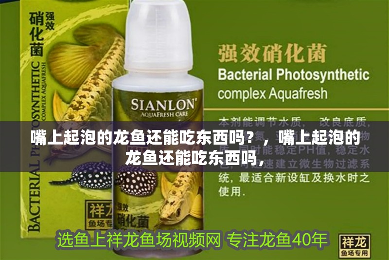 嘴上起泡的龍魚還能吃東西嗎？，嘴上起泡的龍魚還能吃東西嗎，