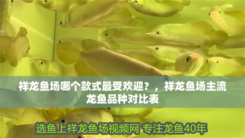 給大魚缸換水的作文:體驗給大魚缸換水的樂趣:體驗給大魚缸換水:給大魚缸換水的作文 祥龍魚場哪個款式最受歡迎?,祥龍魚場主流龍魚品種對比表 龍魚百科 祥龍魚場哪個款式最受歡迎?,祥龍魚場主流龍魚品種對比表 祥龍魚場哪個款式最受歡迎?,祥龍魚場主流龍魚品種對比表 龍魚百科