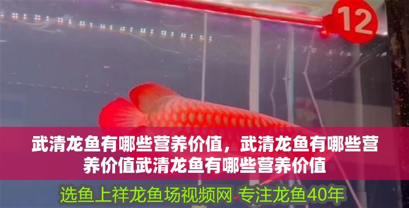 魚缸用增氧泵價格是多少:魚缸增氧機-xtrac增氧機-xtrac增氧機 武清龍魚有哪些營養價值,武清龍魚有哪些營養價值武清龍魚有哪些營養價值 龍魚百科 武清龍魚有哪些營養價值,武清龍魚有哪些營養價值武清龍魚有哪些營養價值 武清龍魚有哪些營養價值,武清龍魚有哪些營養價值武清龍魚有哪些營養價值 龍魚百科