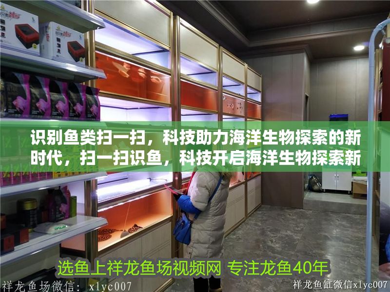 識別魚類掃一掃，科技助力海洋生物探索的新時代，掃一掃識魚，科技開啟海洋生物探索新紀元