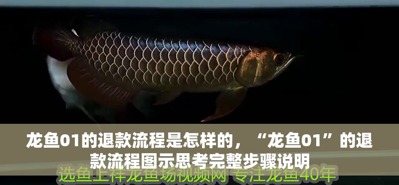 龍魚01的退款流程是怎樣的，“龍魚01”的退款流程圖示思考完整步驟說明