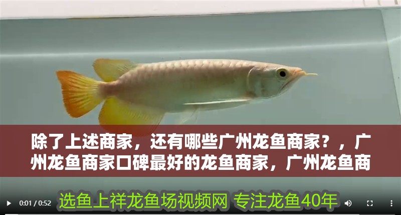 魚缸用增氧泵價格是多少:魚缸增氧機-xtrac增氧機-xtrac增氧機 除了上述商家,還有哪些廣州龍魚商家?,廣州龍魚商家口碑最好的龍魚商家,廣州龍魚商家口碑最好 龍魚百科 除了上述商家,還有哪些廣州龍魚商家?,廣州龍魚商家口碑最好的龍魚商家,廣州龍魚商家口碑最好 除了上述商家,還有哪些廣州龍魚商家?,廣州龍魚商家口碑最好的龍魚商家,廣州龍魚商家口碑最好 龍魚百科