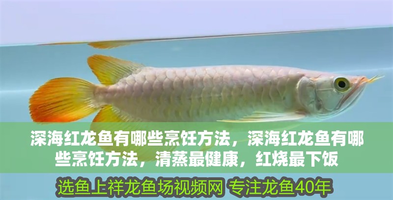 深海紅龍魚有哪些烹飪方法，深海紅龍魚有哪些烹飪方法，清蒸最健康，紅燒最下飯