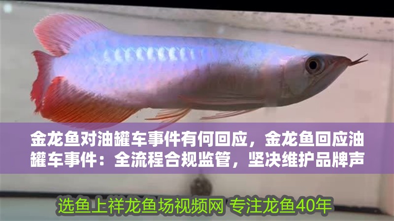 金龍魚對油罐車事件有何回應，金龍魚回應油罐車事件：全流程合規監管，堅決維護品牌聲譽 金龍魚對油罐車事件有何回應，金龍魚回應油罐車事件：全流程合規監管，堅決維護品牌聲譽 龍魚百科