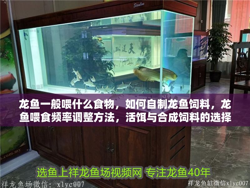 龍魚一般喂什么食物，如何自制龍魚飼料，龍魚喂食頻率調整方法，活餌與合成飼料的選擇