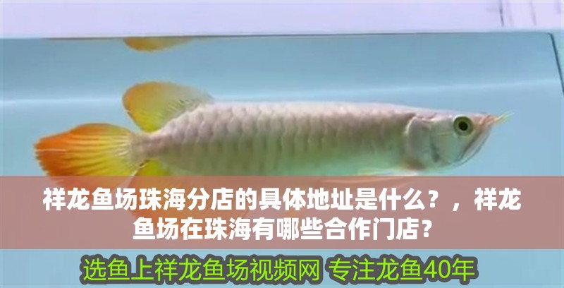 祥龍魚場<strong><mark>珠海</mark></strong>分店的具體地址是什么？，祥龍魚場在<strong><mark>珠海</mark></strong>有哪些合作門店？