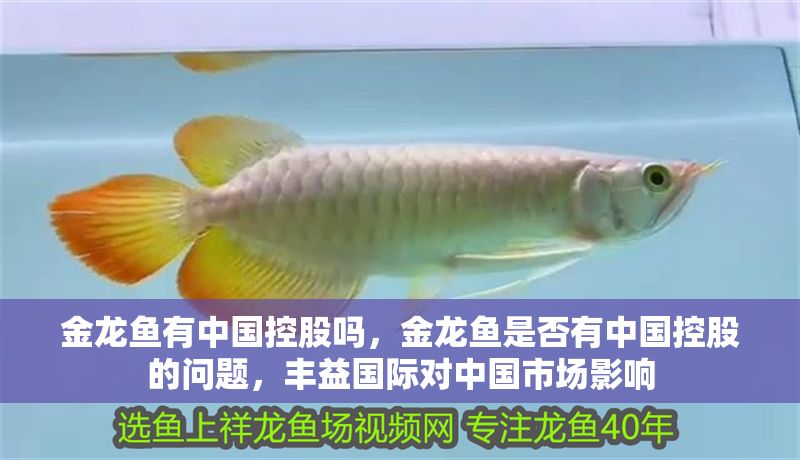金龍魚有中國控股嗎，金龍魚是否有中國控股的問題，豐益國際對中國市場影響
