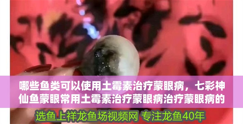 哪些魚類可以使用土霉素治療蒙眼病，七彩神仙魚蒙眼常用土霉素治療蒙眼病治療蒙眼病的副作用