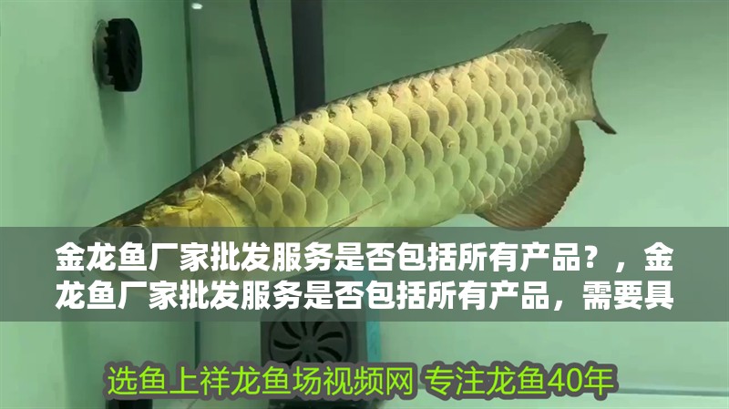 金龍魚廠家批發服務是否包括所有產品？，金龍魚廠家批發服務是否包括所有產品，需要具體分析 金龍魚廠家批發服務是否包括所有產品？，金龍魚廠家批發服務是否包括所有產品，需要具體分析 龍魚百科
