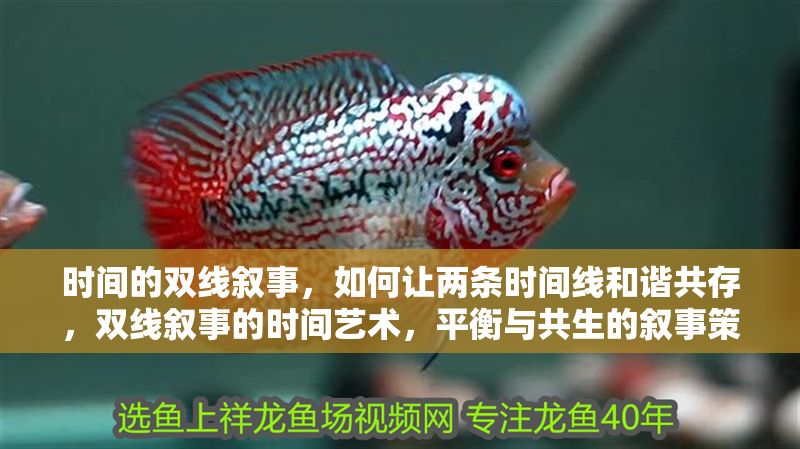 時間的雙線敘事，如何讓兩條時間線和諧共存，雙線敘事的時間藝術，平衡與共生的敘事策略