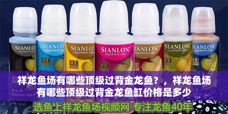 祥龍魚場有哪些頂級過背金龍魚？，祥龍魚場有哪些頂級過背金龍魚缸價格是多少