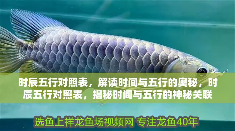 時辰五行對照表，解讀時間與五行的奧秘，時辰五行對照表，揭秘時間與五行的神秘關(guān)聯(lián)