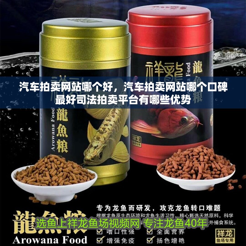 汽車拍賣網(wǎng)站哪個(gè)好，汽車拍賣網(wǎng)站哪個(gè)口碑最好司法拍賣平臺(tái)有哪些優(yōu)勢(shì) 汽車拍賣網(wǎng)站哪個(gè)好，汽車拍賣網(wǎng)站哪個(gè)口碑最好司法拍賣平臺(tái)有哪些優(yōu)勢(shì) 龍魚百科