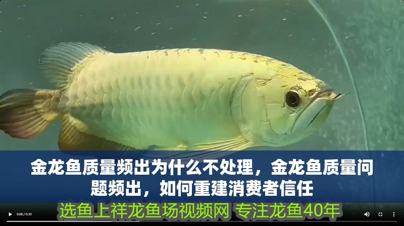 金龍魚質量頻出為什么不處理，金龍魚質量問題頻出，如何重建消費者信任