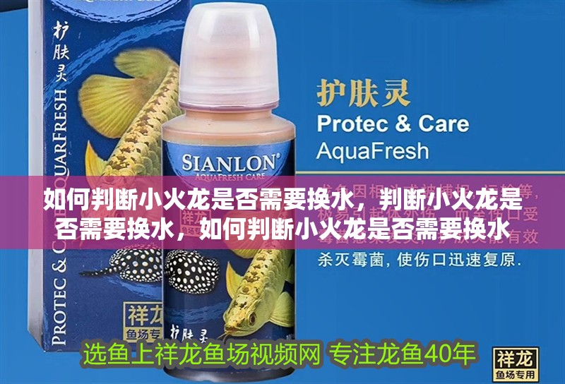 如何判斷小火龍是否需要換水，判斷小火龍是否需要換水，如何判斷小火龍是否需要換水