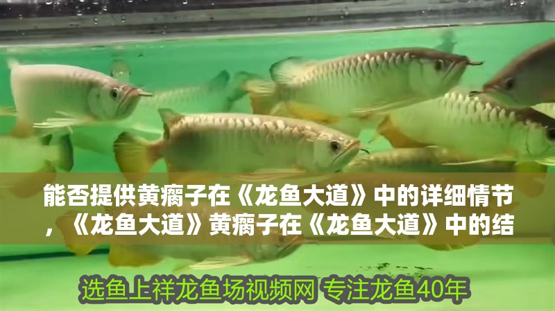 能否提供黃瘸子在《龍魚大道》中的詳細情節(jié)，《龍魚大道》黃瘸子在《龍魚大道》中的結(jié)局是什么