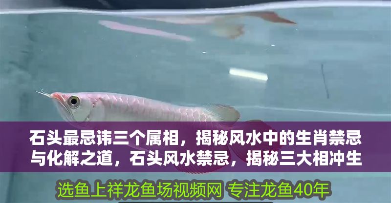石頭最忌諱三個屬相，揭秘風水中的生肖禁忌與化解之道，石頭風水禁忌，揭秘三大相沖生肖及化解方法