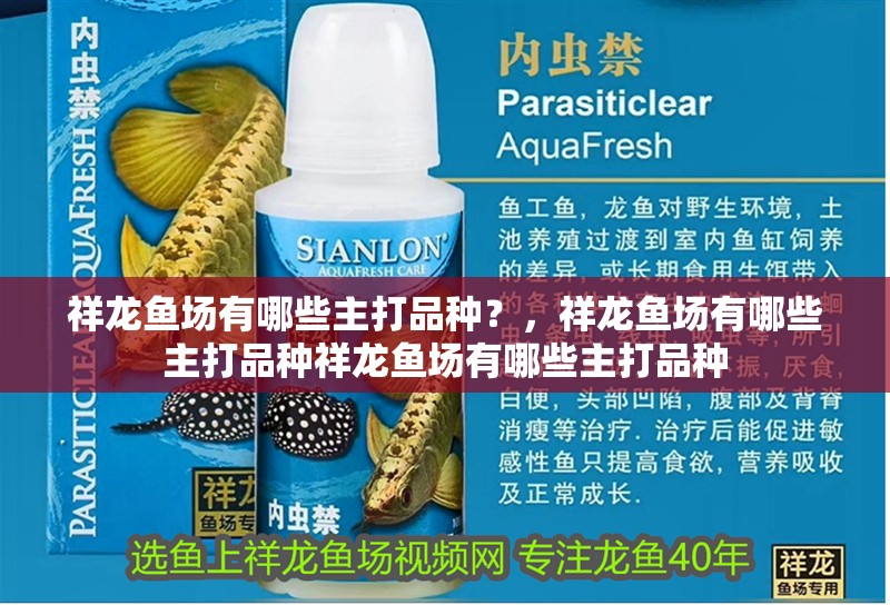 祥龍魚場有哪些主打品種？，祥龍魚場有哪些主打品種祥龍魚場有哪些主打品種