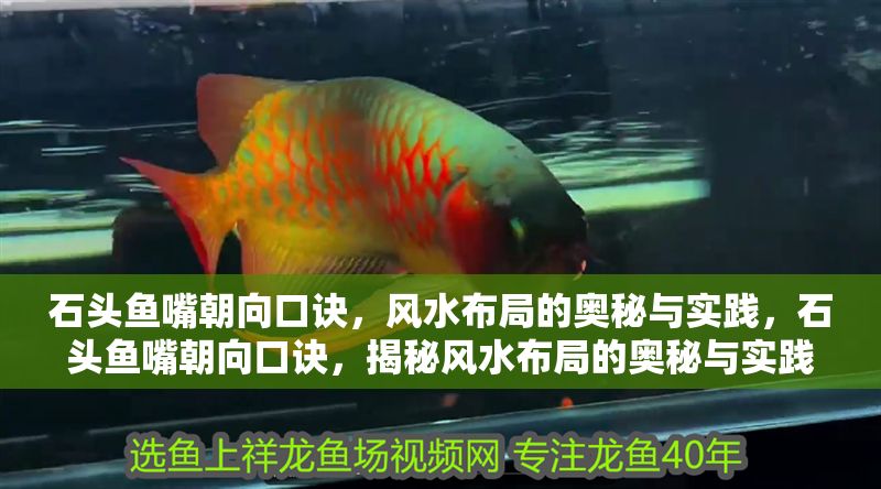 石頭魚嘴朝向口訣，風水布局的奧秘與實踐，石頭魚嘴朝向口訣，揭秘風水布局的奧秘與實踐技巧