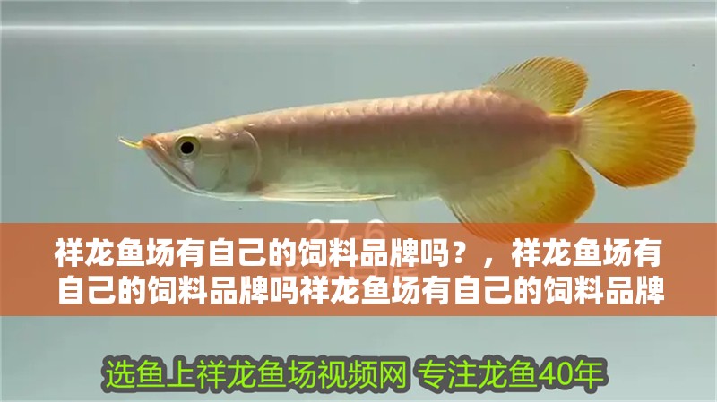 魚缸用增氧泵價格是多少:魚缸增氧機-xtrac增氧機-xtrac增氧機 祥龍魚場有自己的飼料品牌嗎?,祥龍魚場有自己的飼料品牌嗎祥龍魚場有自己的飼料品牌嗎 龍魚百科 祥龍魚場有自己的飼料品牌嗎?,祥龍魚場有自己的飼料品牌嗎祥龍魚場有自己的飼料品牌嗎 祥龍魚場有自己的飼料品牌嗎?,祥龍魚場有自己的飼料品牌嗎祥龍魚場有自己的飼料品牌嗎 龍魚百科