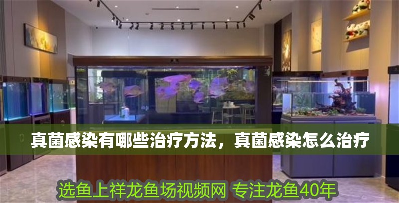 真菌感染有哪些治療方法，真菌感染怎么治療 真菌感染有哪些治療方法，真菌感染怎么治療 龍魚百科
