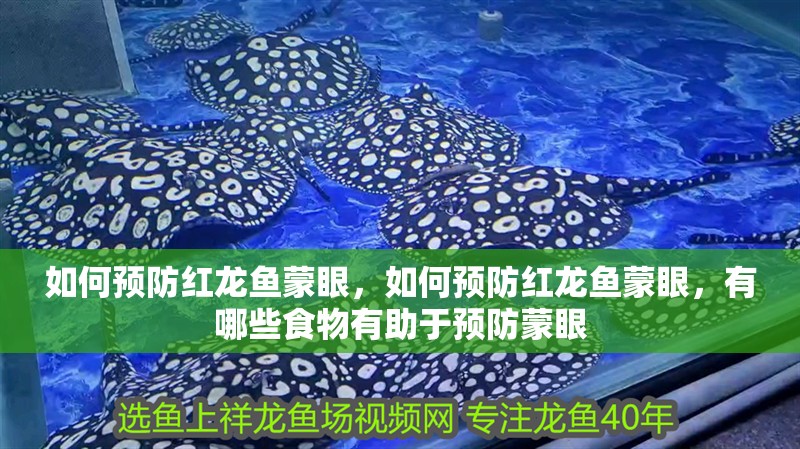 如何預防紅龍魚蒙眼，如何預防紅龍魚蒙眼，有哪些食物有助于預防蒙眼 如何預防紅龍魚蒙眼，如何預防紅龍魚蒙眼，有哪些食物有助于預防蒙眼 龍魚百科