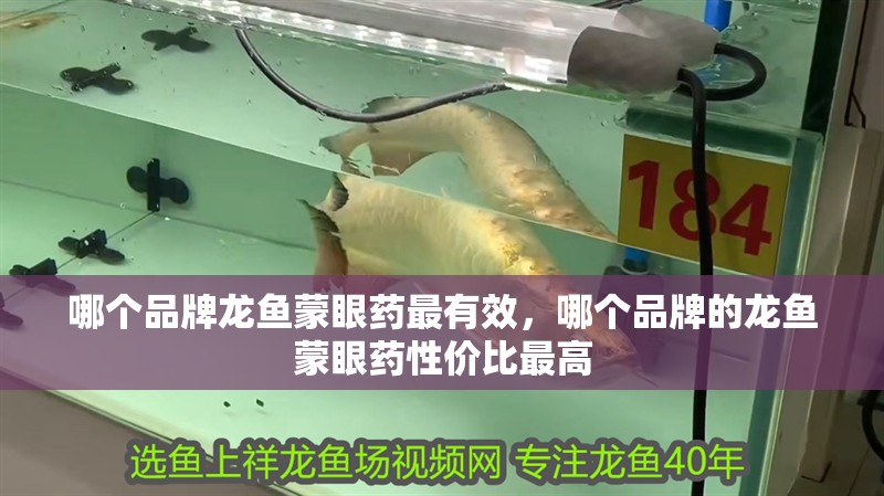 哪個品牌龍魚蒙眼藥最有效，哪個品牌的龍魚蒙眼藥性價比最高