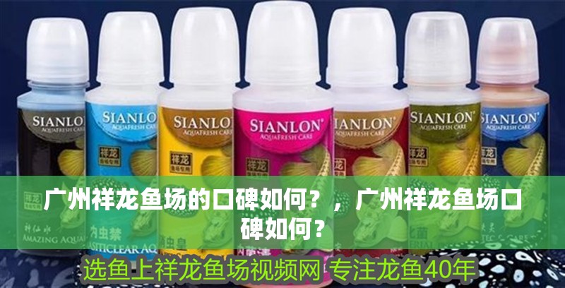 廣州祥龍魚場的口碑如何？，廣州祥龍魚場口碑如何？ 廣州祥龍魚場的口碑如何？，廣州祥龍魚場口碑如何？ 龍魚百科