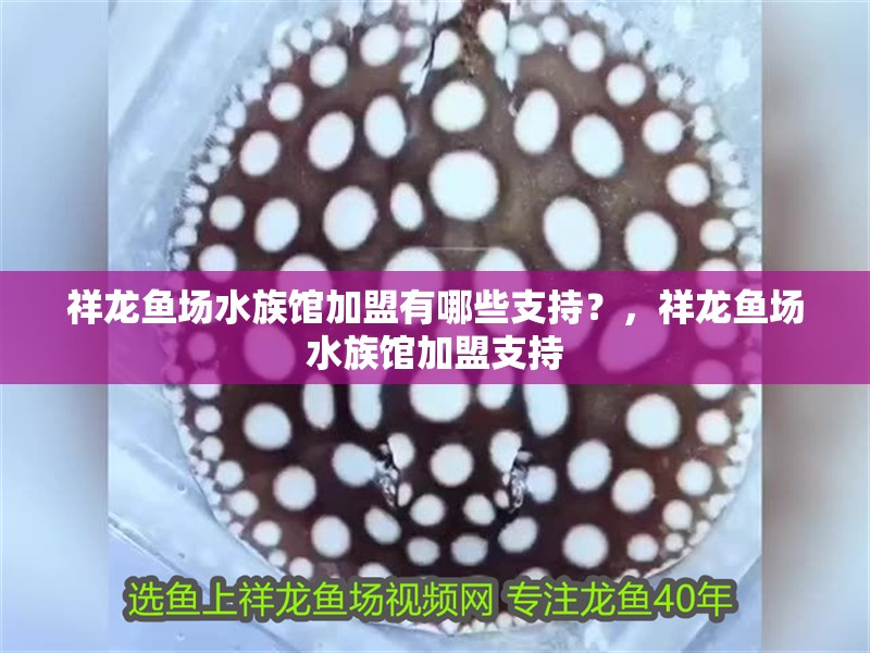 祥龍魚場水族館加盟有哪些支持？，祥龍魚場水族館加盟支持 祥龍魚場水族館加盟有哪些支持？，祥龍魚場水族館加盟支持 龍魚百科