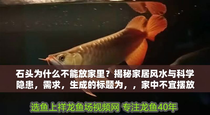 石頭為什么不能放家里？揭秘家居風(fēng)水與科學(xué)隱患，需求，生成的標(biāo)題為，，家中不宜擺放石頭的風(fēng)水講究與科學(xué)隱患解析，融合了風(fēng)水文化與科學(xué)角度，簡(jiǎn)潔明確地概括了核心內(nèi)容。若需調(diào)整側(cè)重點(diǎn)，可在此基礎(chǔ)上微調(diào)，如更偏向科學(xué)則強(qiáng)調(diào)健康隱患，偏重風(fēng)水則突出破財(cái)禁忌等。）