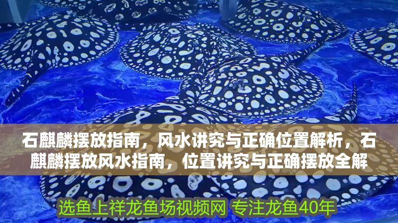 石麒麟擺放指南，風水講究與正確位置解析，石麒麟擺放風水指南，位置講究與正確擺放全解析