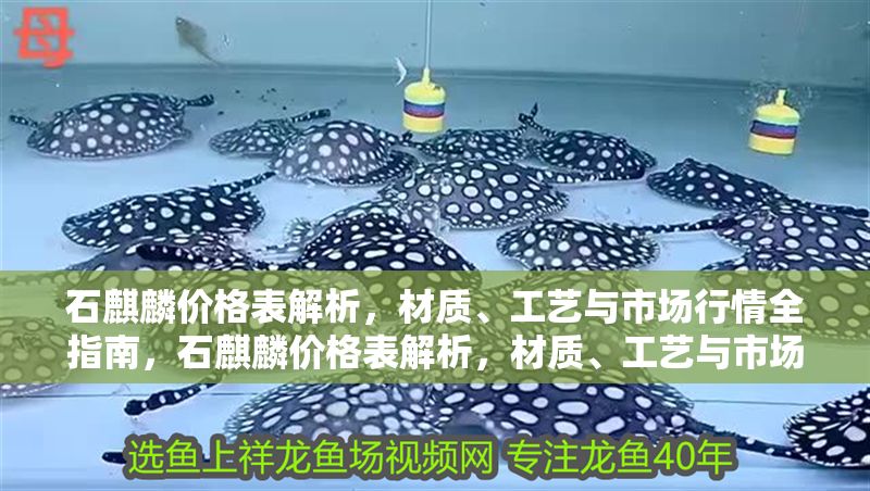 石麒麟價格表解析，材質、工藝與市場行情全指南，石麒麟價格表解析，材質、工藝與市場行情全指南