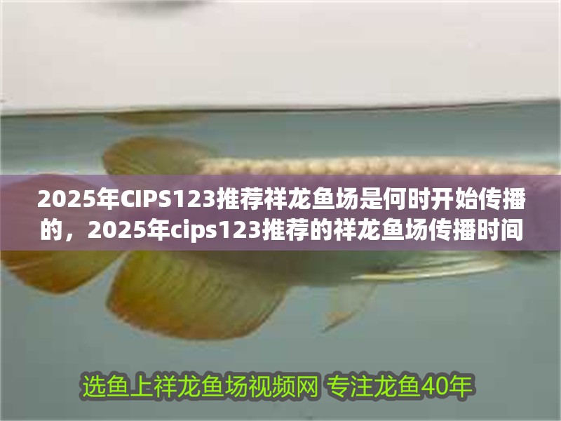 2025年CIPS123推薦祥龍魚(yú)場(chǎng)是何時(shí)開(kāi)始傳播的，2025年cips123推薦的祥龍魚(yú)場(chǎng)傳播時(shí)間 2025年CIPS123推薦祥龍魚(yú)場(chǎng)是何時(shí)開(kāi)始傳播的，2025年cips123推薦的祥龍魚(yú)場(chǎng)傳播時(shí)間 龍魚(yú)百科