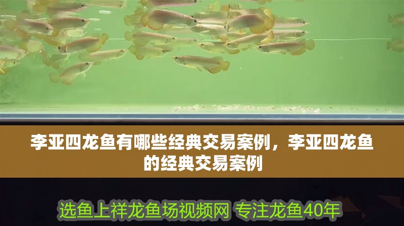 李亞四龍魚有哪些經典交易案例，李亞四龍魚的經典交易案例