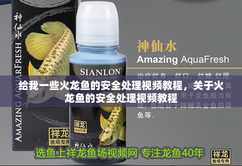 龍魚干蝦有營養嗎 給我一些火龍魚的安全處理視頻教程,關于火龍魚的安全處理視頻教程 龍魚百科 給我一些火龍魚的安全處理視頻教程,關于火龍魚的安全處理視頻教程 給我一些火龍魚的安全處理視頻教程,關于火龍魚的安全處理視頻教程 龍魚百科