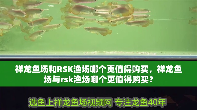 祥龍魚場和RSK漁場哪個更值得購買，祥龍魚場與rsk漁場哪個更值得購買？