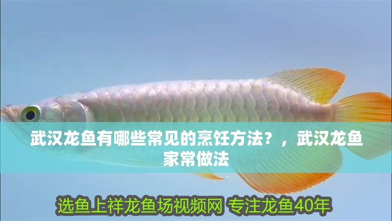 武漢龍魚有哪些常見的烹飪方法？，武漢龍魚家常做法 武漢龍魚有哪些常見的烹飪方法？，武漢龍魚家常做法 龍魚百科