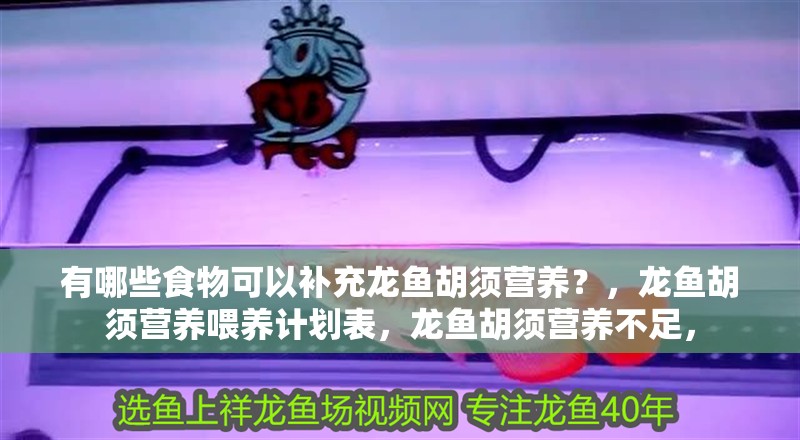 有哪些食物可以補充龍魚胡須營養？，龍魚胡須營養喂養計劃表，龍魚胡須營養不足，